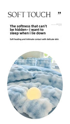 2025 New Class A Bubble Rabbit Fleece Quilt Cover  Thicken The Warm Duvet Cover in Autumn and Winter Skin-friendly Bedding